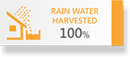 RAIN WATER 100%